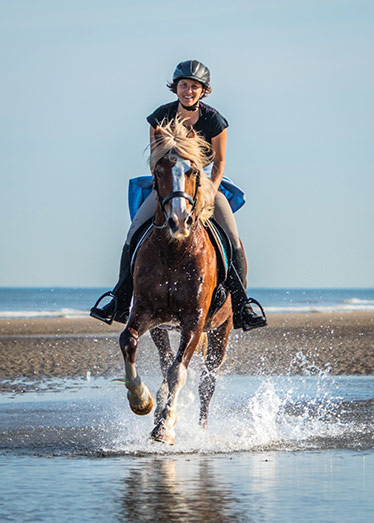 Mit eigenem Pferd am Strand reiten in Holland