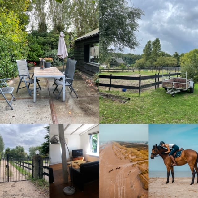 Equestrian - Stall am eigenen Haus